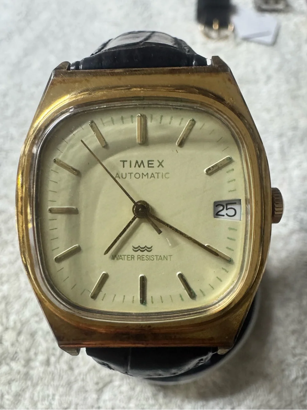 Timex Gold-Tone Case Cream Dial Automatic Watch with Black Strap